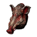 Wild Boar Head