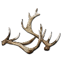 Antler