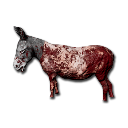 Chop_Donkey_Skinned