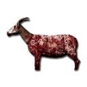 Skinned Goat