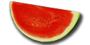 Watermelon Slice