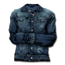 Trucker Jacket