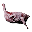 Skinned Deer