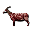 Skinned Goat