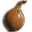 Onion