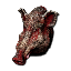 Wild Boar Head