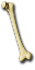 Bone