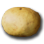 Potato