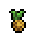 Pineapple Seed