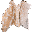 Deer Skin