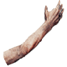 Arm