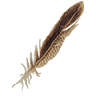 Feather