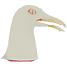 Seagull Head